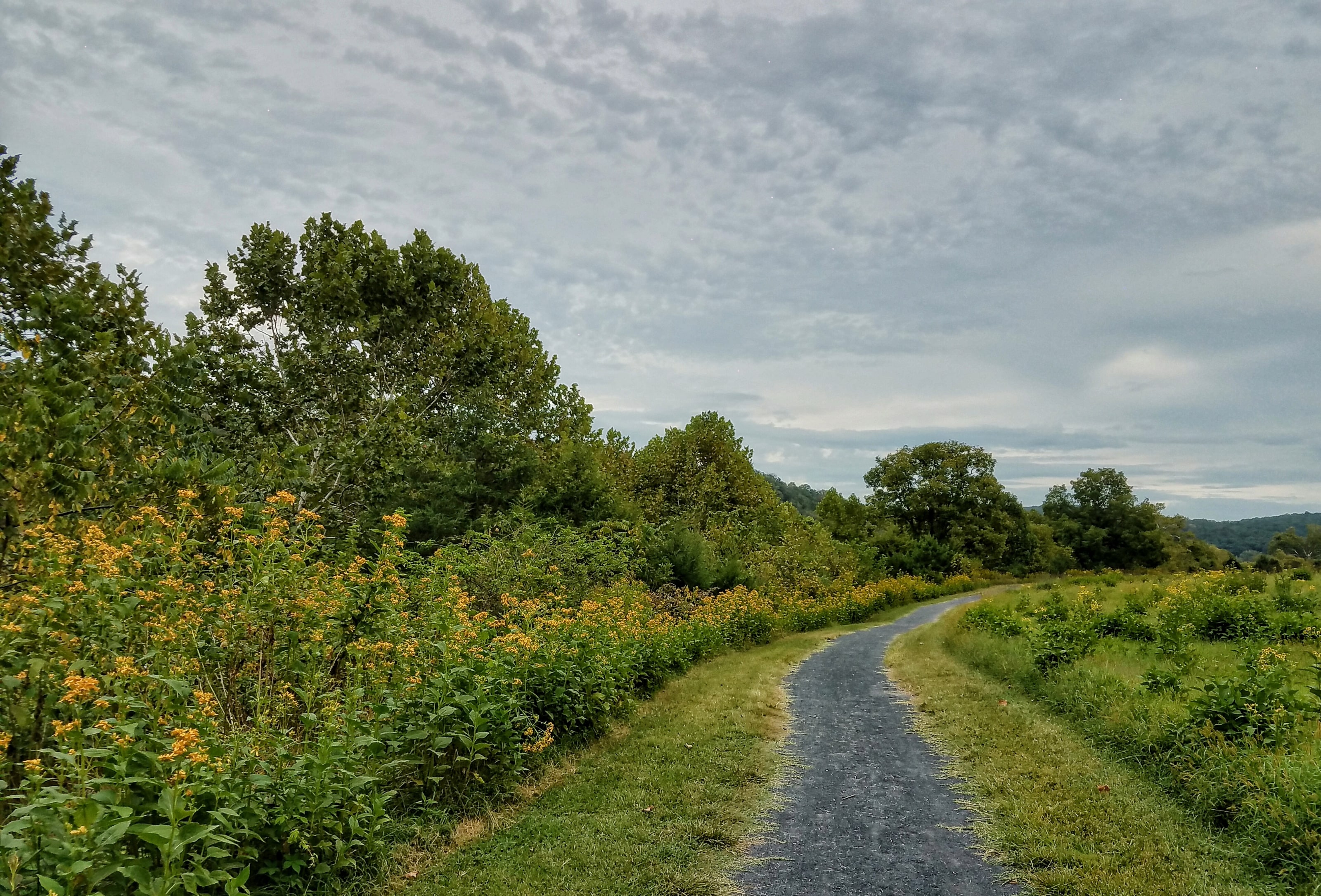 Hiking trail at Shenandoah River.