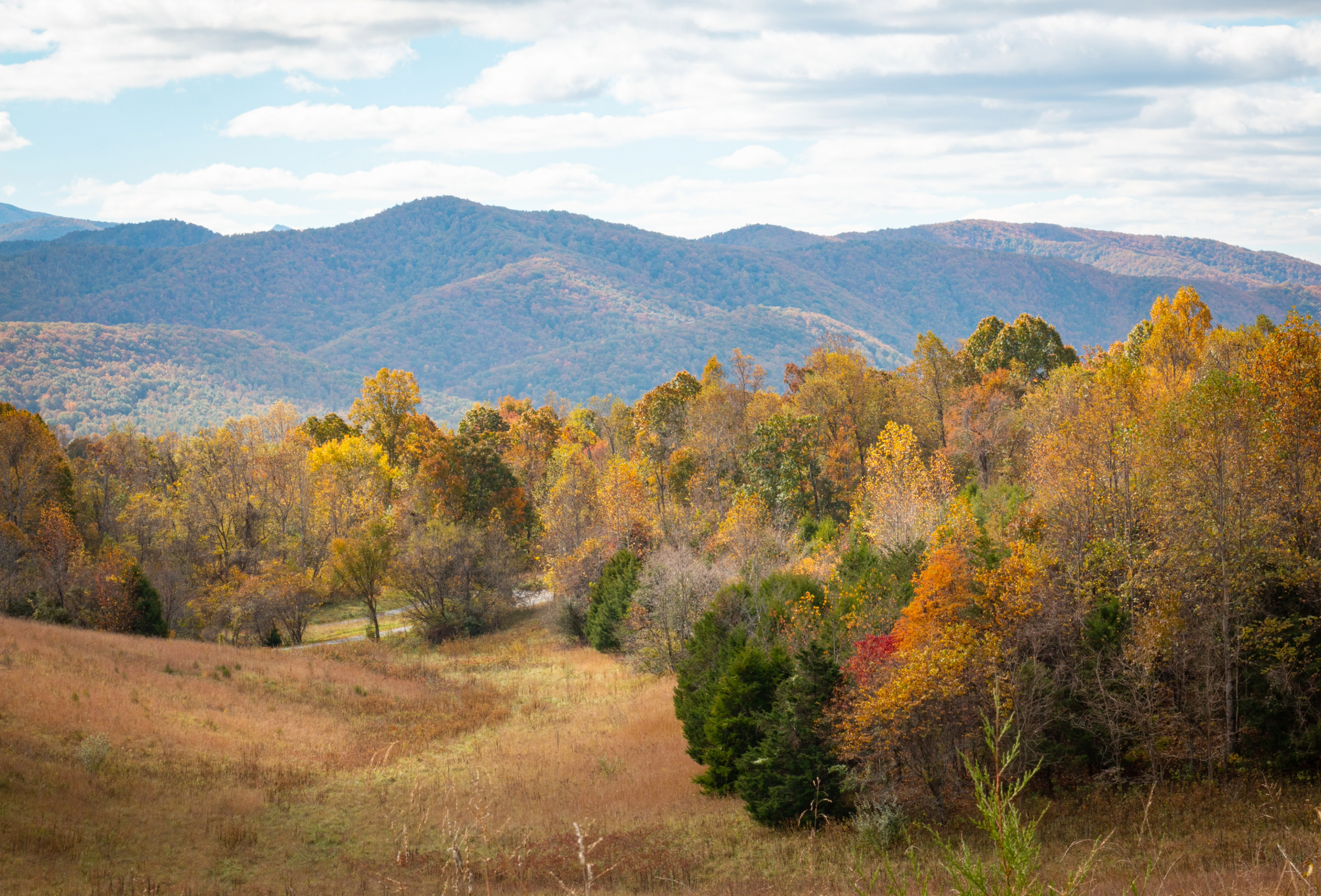 Fall foliage at Natural Bridge State Park.