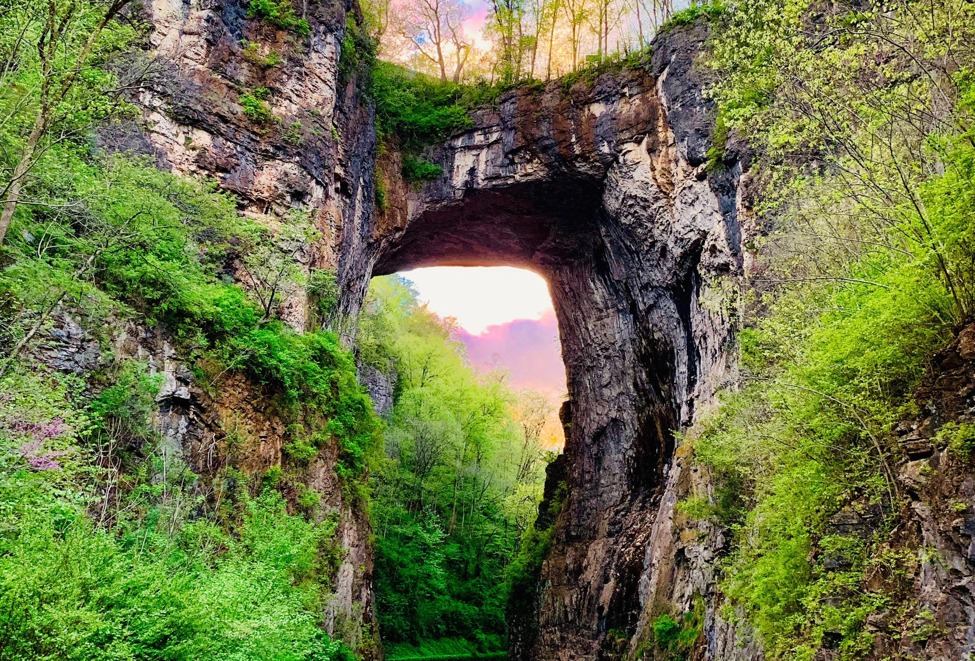 Natural Bridge State Park.