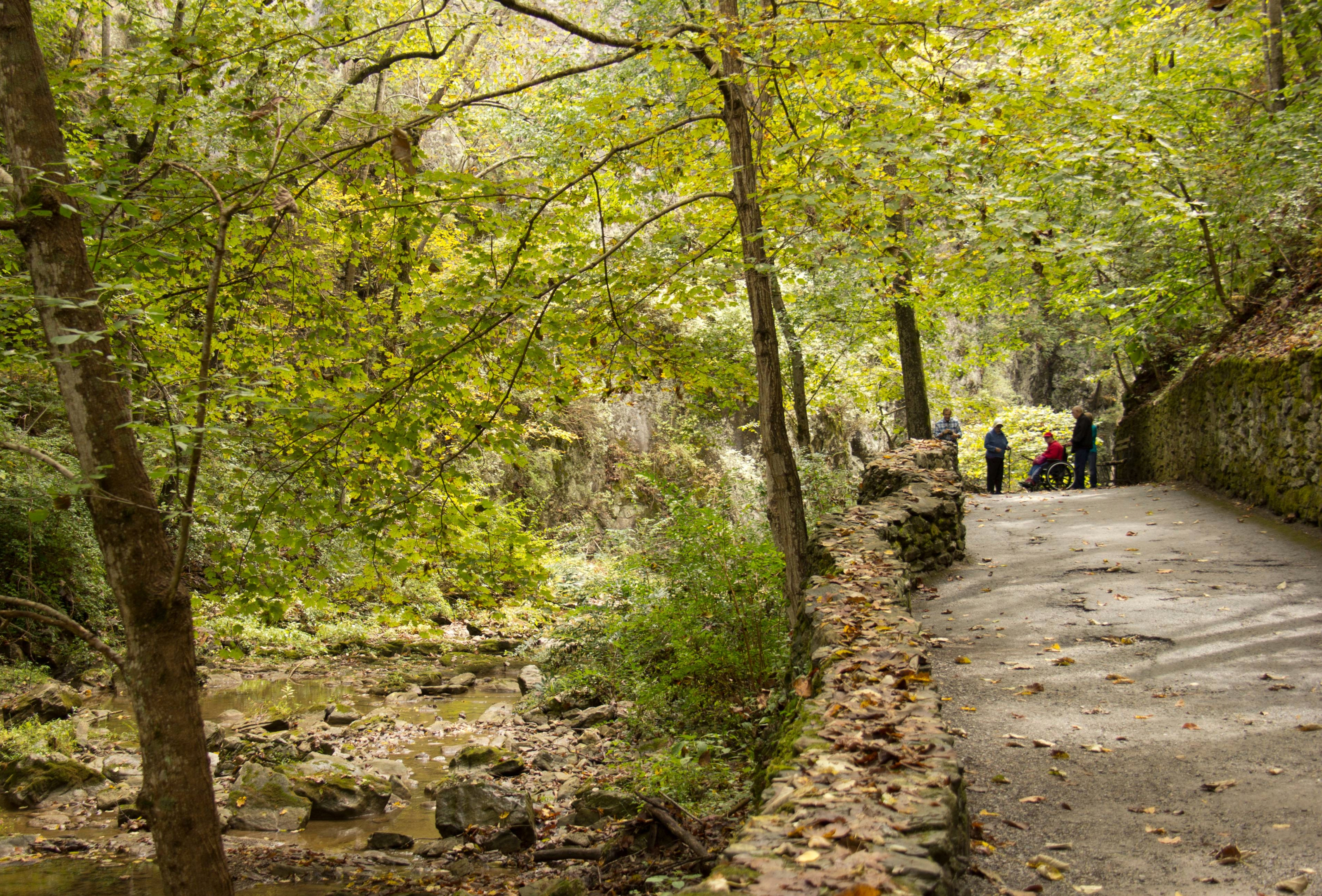 People walking at Natural Bridge State Park.